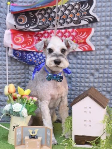 20230516イヴくん